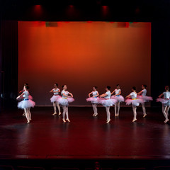 Showcase-102.jpg
